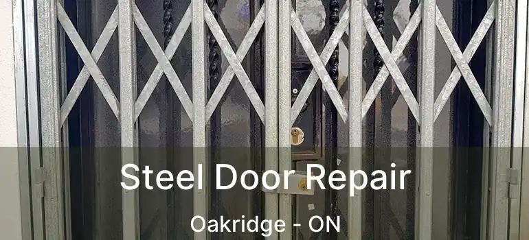 Steel Door Repair Oakridge - ON