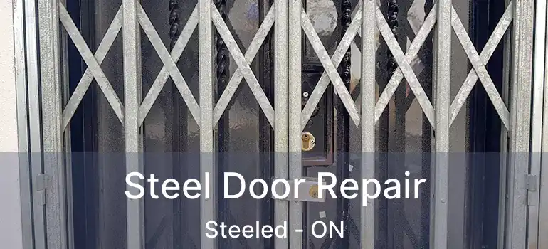 Steel Door Repair Steeled - ON