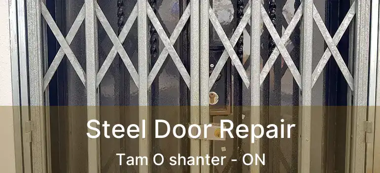  Steel Door Repair Tam O shanter - ON