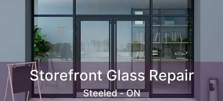  Storefront Glass Repair Steeled - ON