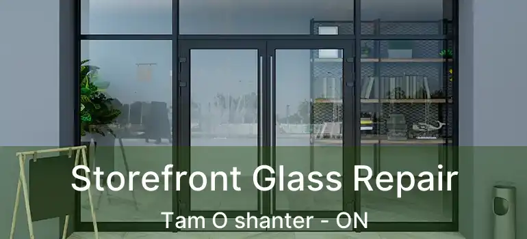  Storefront Glass Repair Tam O shanter - ON