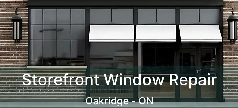  Storefront Window Repair Oakridge - ON