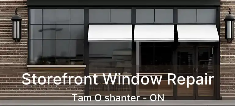  Storefront Window Repair Tam O shanter - ON