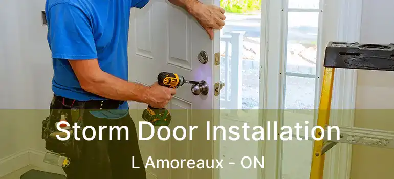  Storm Door Installation L Amoreaux - ON