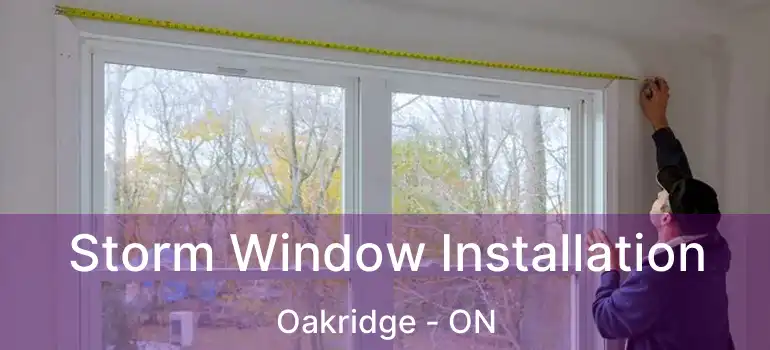  Storm Window Installation Oakridge - ON