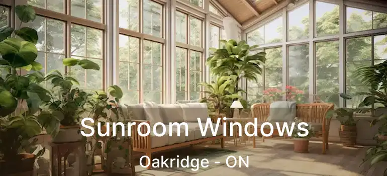  Sunroom Windows Oakridge - ON