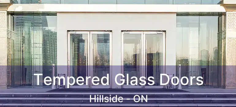 Tempered Glass Doors Hillside - ON
