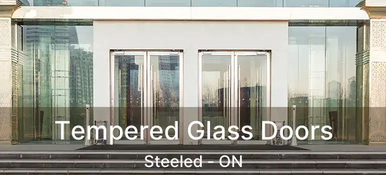  Tempered Glass Doors Steeled - ON