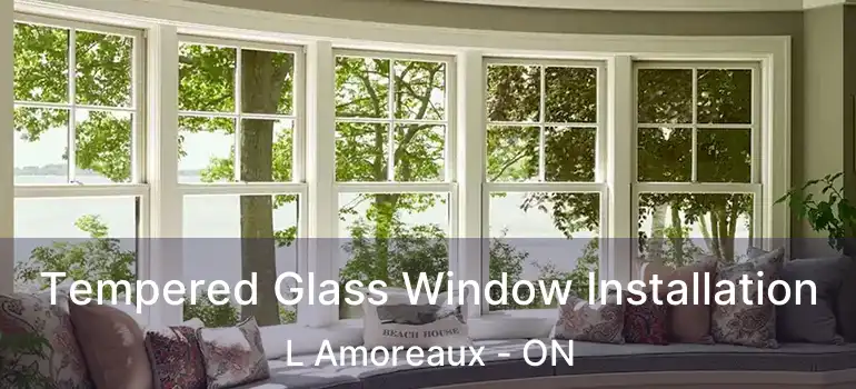  Tempered Glass Window Installation L Amoreaux - ON