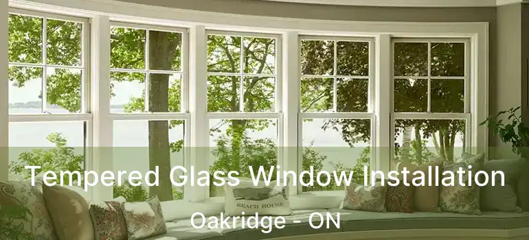  Tempered Glass Window Installation Oakridge - ON