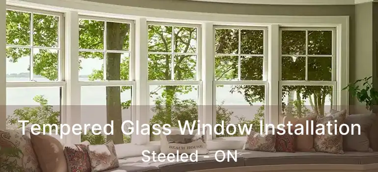  Tempered Glass Window Installation Steeled - ON