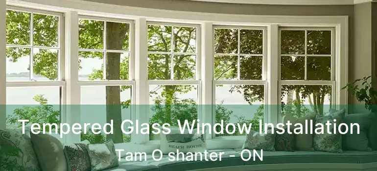  Tempered Glass Window Installation Tam O shanter - ON