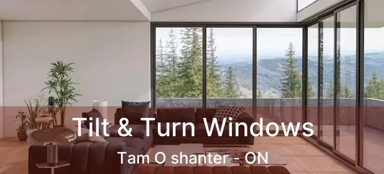  Tilt & Turn Windows Tam O shanter - ON