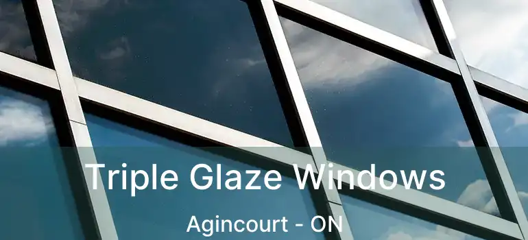  Triple Glaze Windows Agincourt - ON