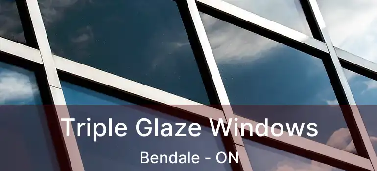  Triple Glaze Windows Bendale - ON