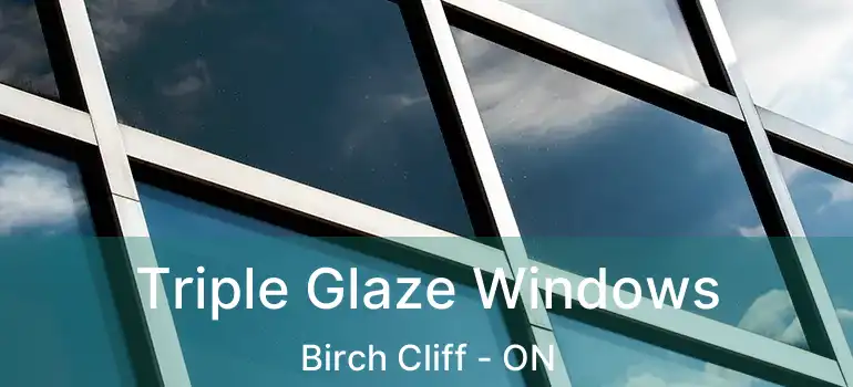  Triple Glaze Windows Birch Cliff - ON