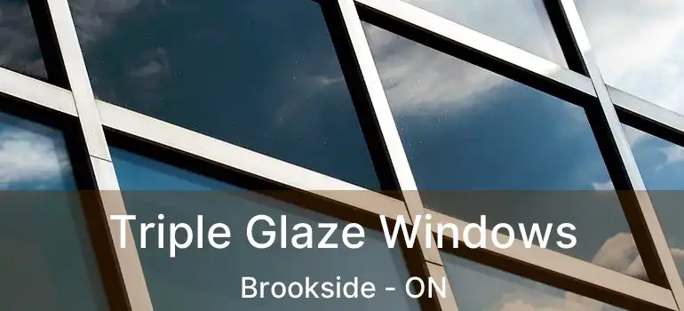  Triple Glaze Windows Brookside - ON