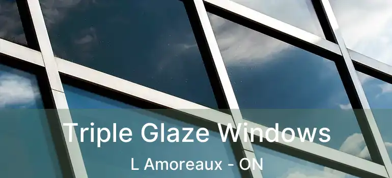  Triple Glaze Windows L Amoreaux - ON