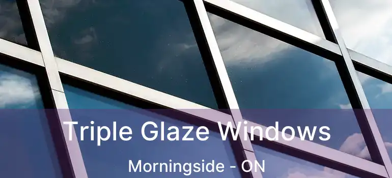  Triple Glaze Windows Morningside - ON
