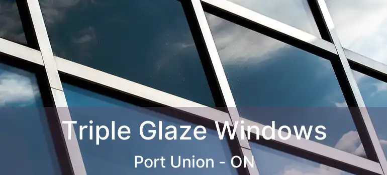  Triple Glaze Windows Port Union - ON