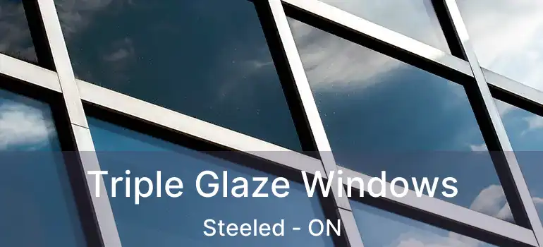  Triple Glaze Windows Steeled - ON