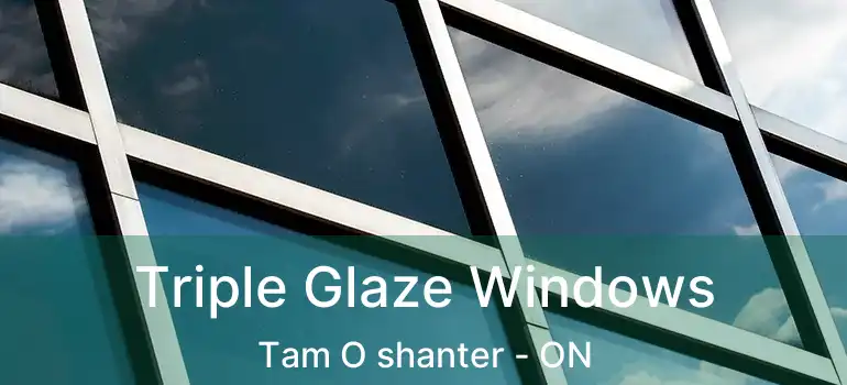  Triple Glaze Windows Tam O shanter - ON