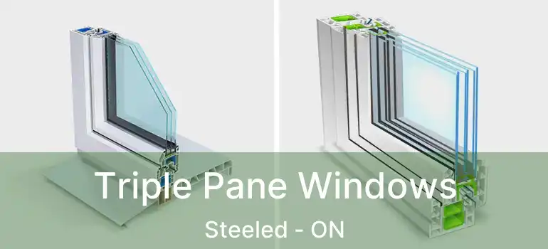  Triple Pane Windows Steeled - ON
