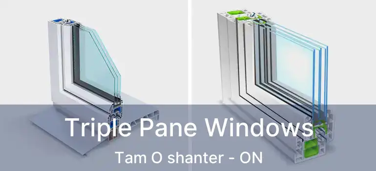  Triple Pane Windows Tam O shanter - ON
