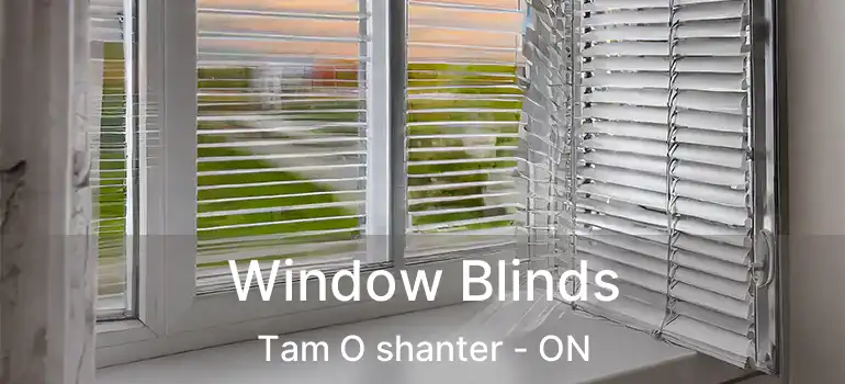 Window Blinds Tam O shanter - ON