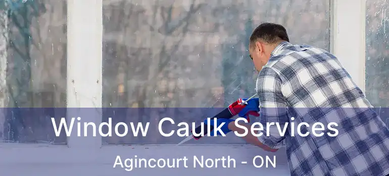  Window Caulk Services Agincourt North - ON