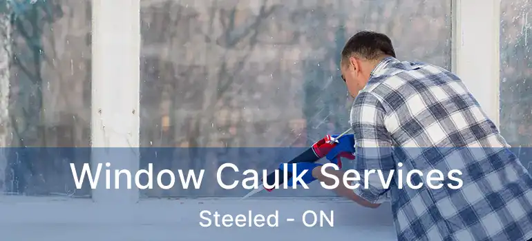  Window Caulk Services Steeled - ON