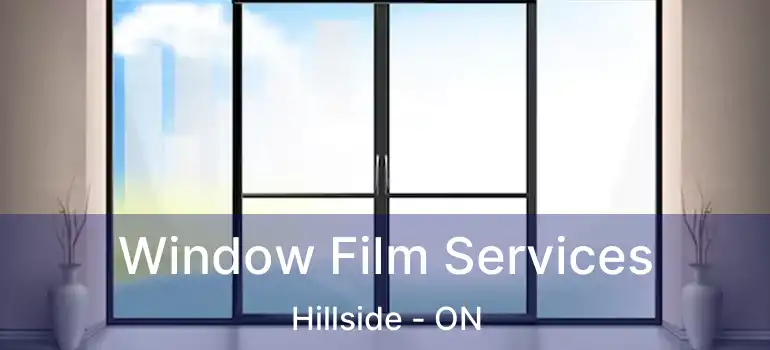  Window Film Services Hillside - ON