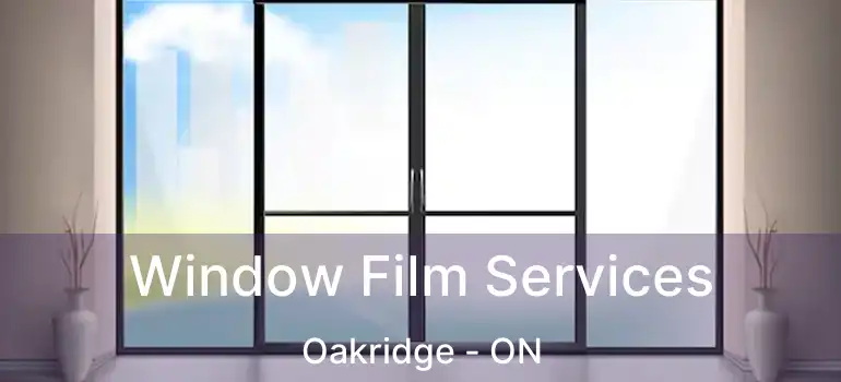 Window Film Services Oakridge - ON