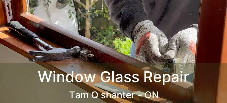  Window Glass Repair Tam O shanter - ON