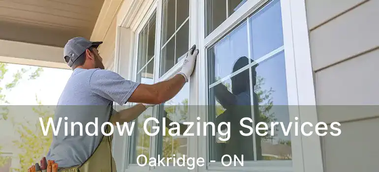  Window Glazing Services Oakridge - ON