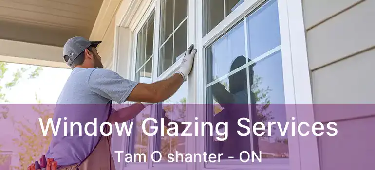  Window Glazing Services Tam O shanter - ON