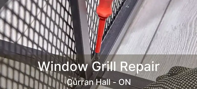  Window Grill Repair Curran Hall - ON