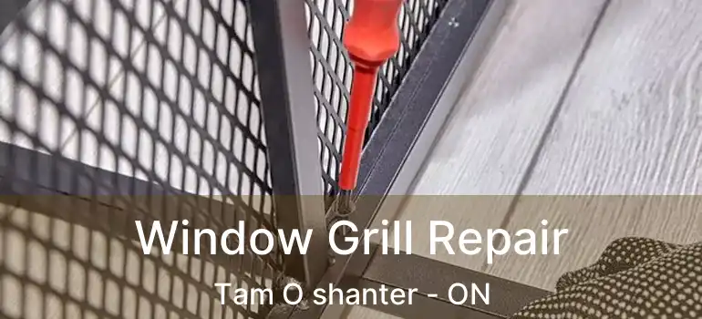  Window Grill Repair Tam O shanter - ON