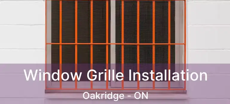Window Grille Installation Oakridge - ON