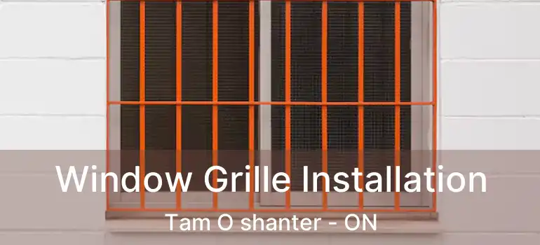  Window Grille Installation Tam O shanter - ON