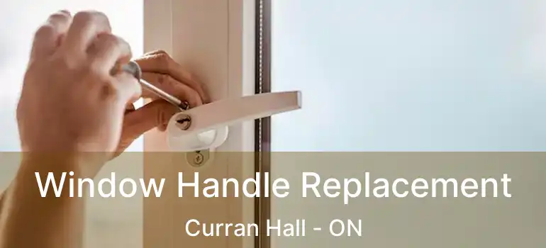  Window Handle Replacement Curran Hall - ON