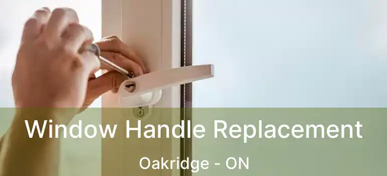  Window Handle Replacement Oakridge - ON
