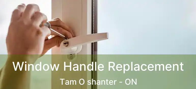  Window Handle Replacement Tam O shanter - ON