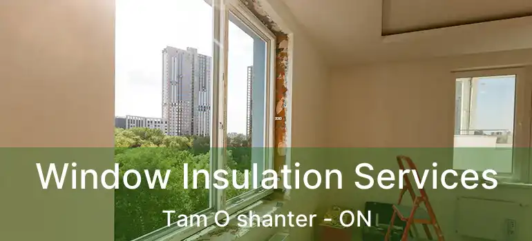  Window Insulation Services Tam O shanter - ON
