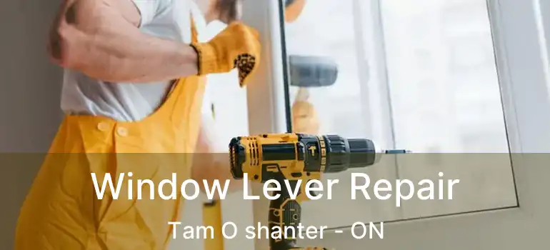 Window Lever Repair Tam O shanter - ON