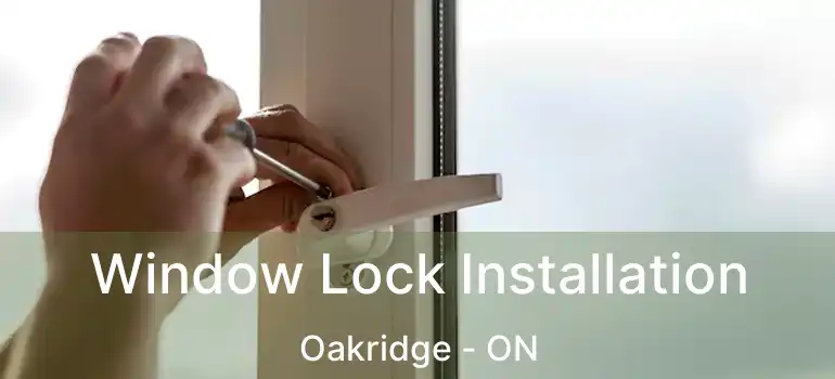 Window Lock Installation Oakridge - ON