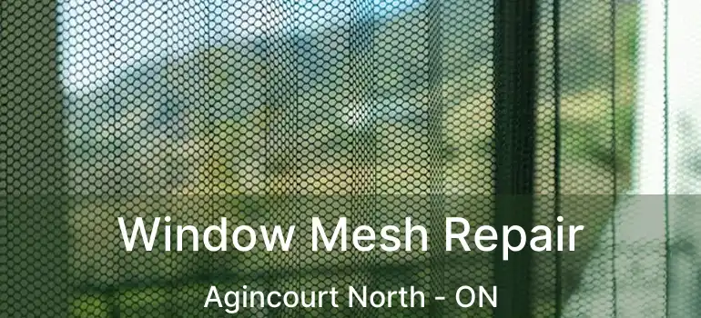 Window Mesh Repair Agincourt North - ON