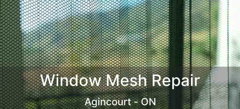  Window Mesh Repair Agincourt - ON