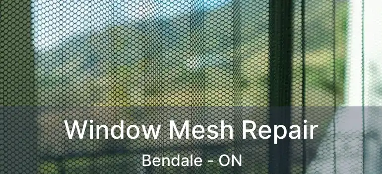 Window Mesh Repair Bendale - ON