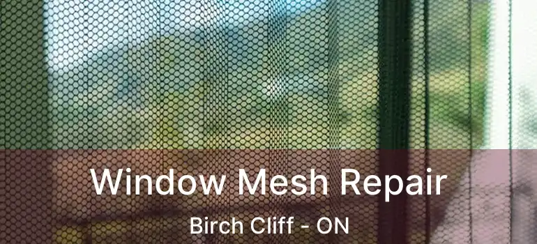  Window Mesh Repair Birch Cliff - ON